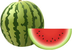 watermelon